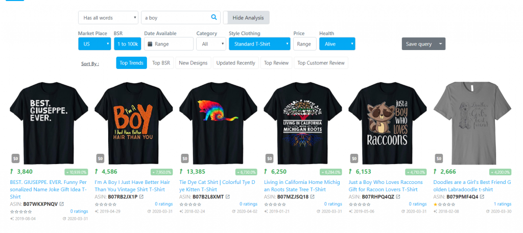 Search Tool Interface